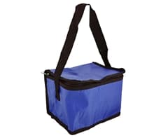 PVC 6-Can Cooler 2