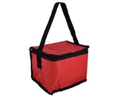 PVC 6-Can Cooler 4