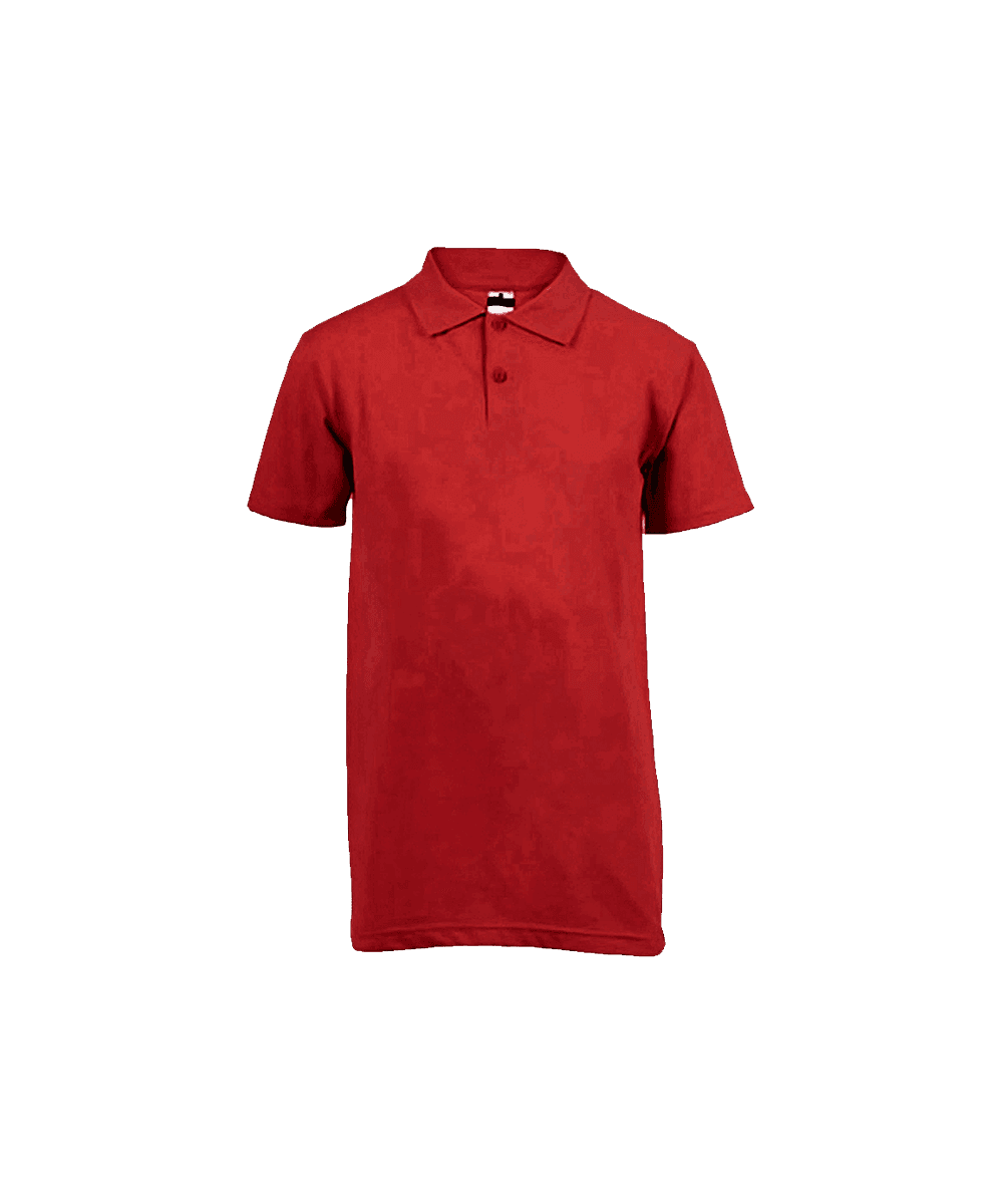Pique Cotton Knit Golfer 4