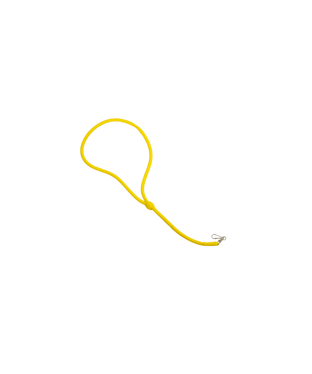 Lanyard 1