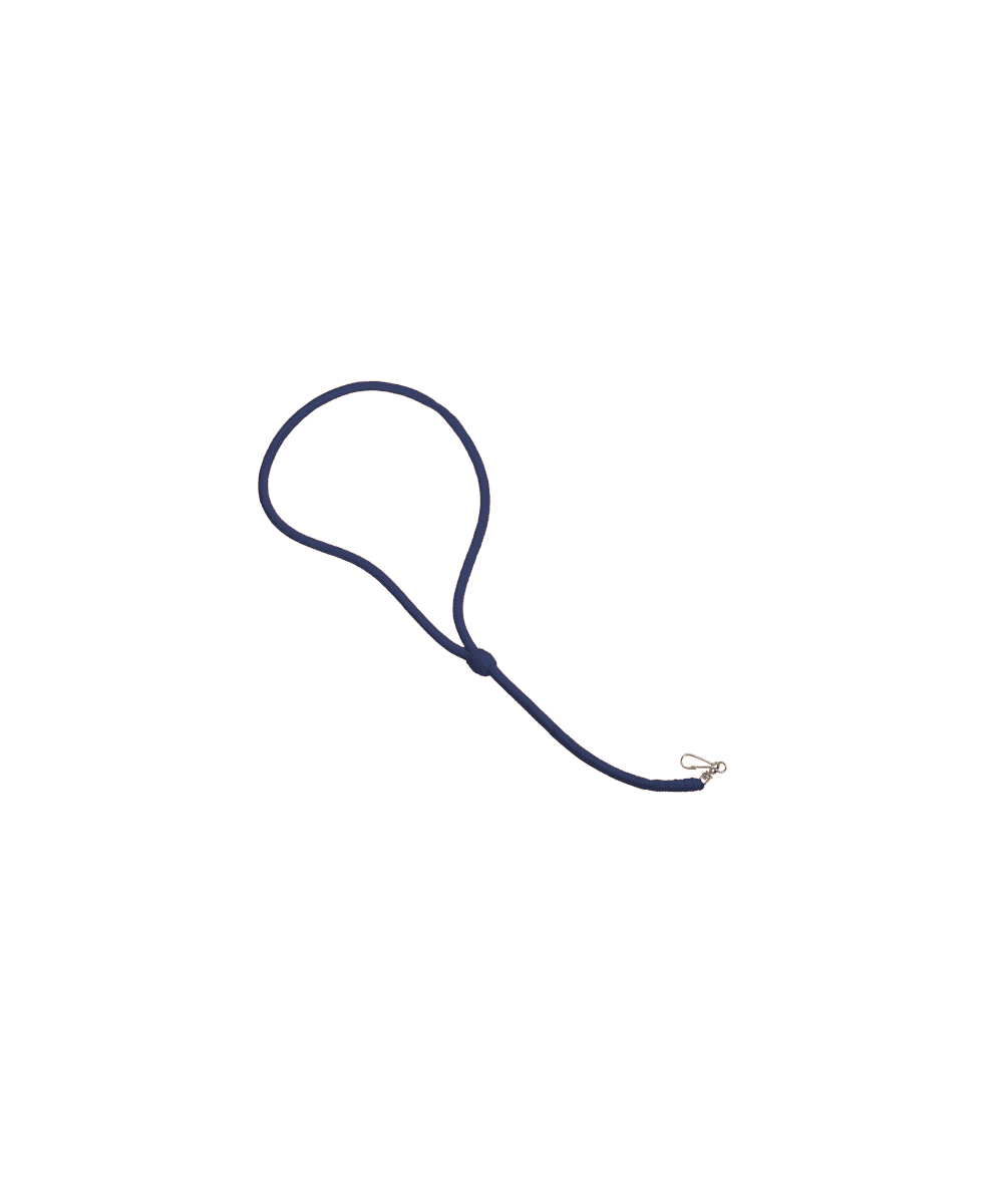 Lanyard 5