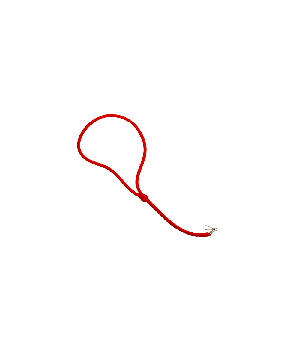 Lanyard 3