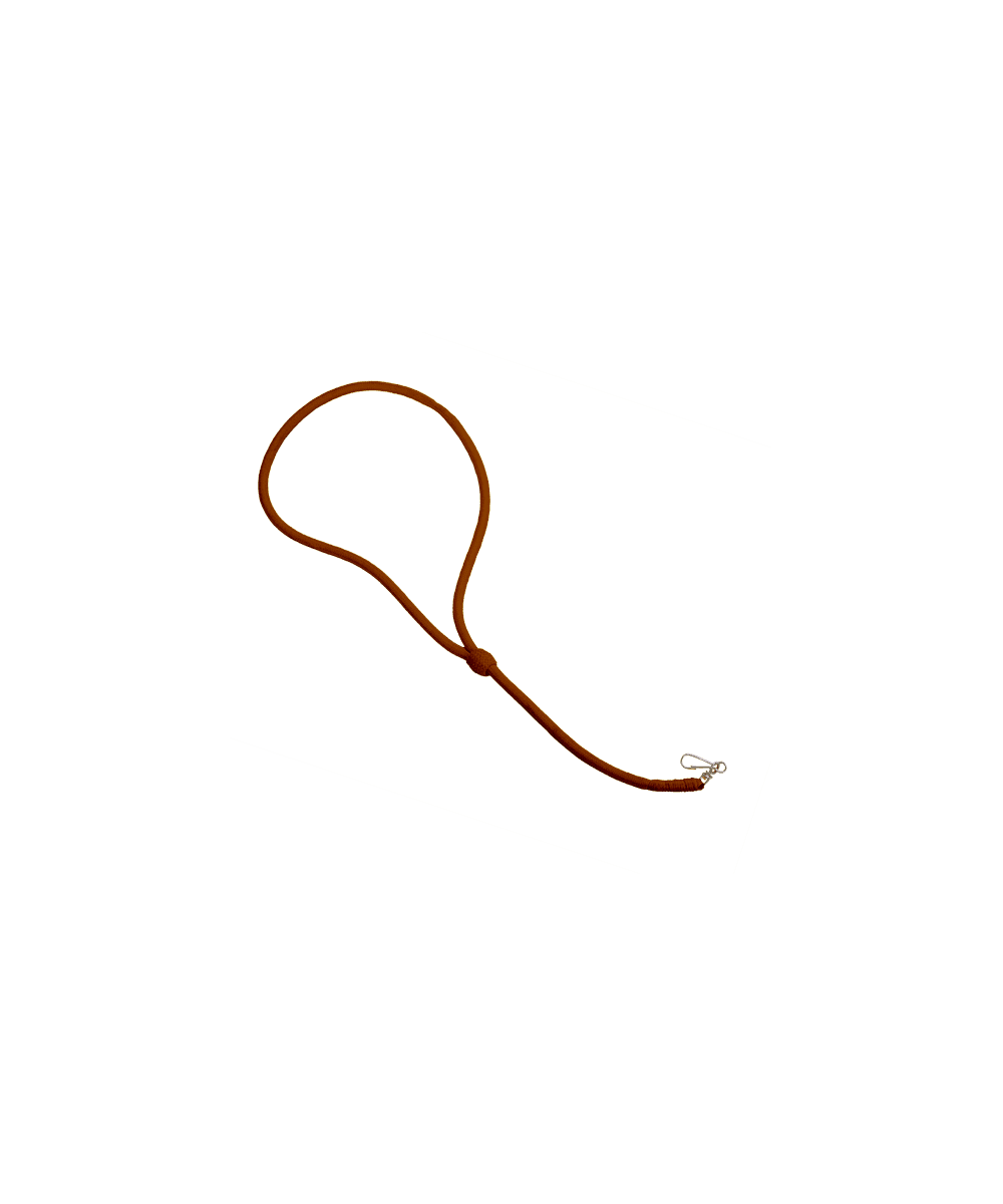 Lanyard 4