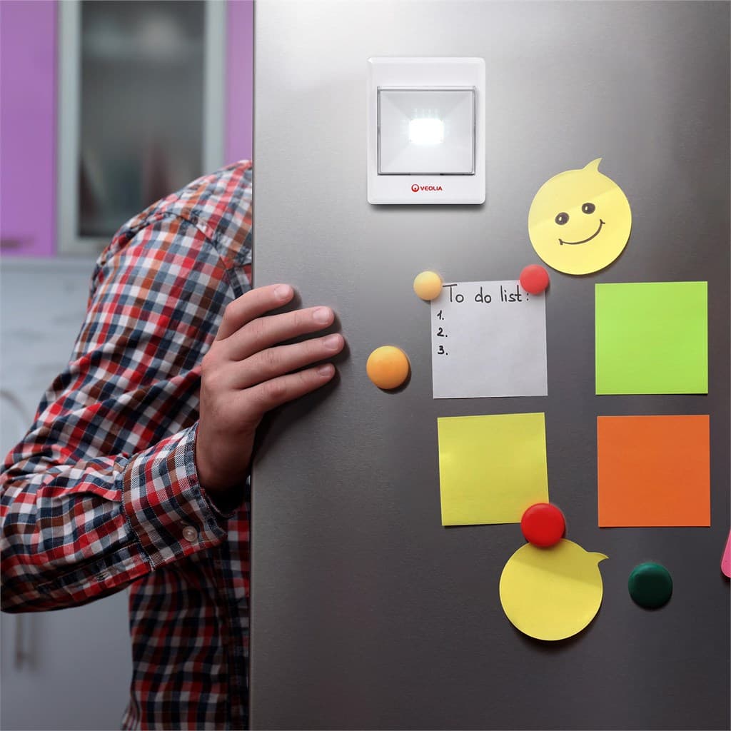 Brite Switch Light 12