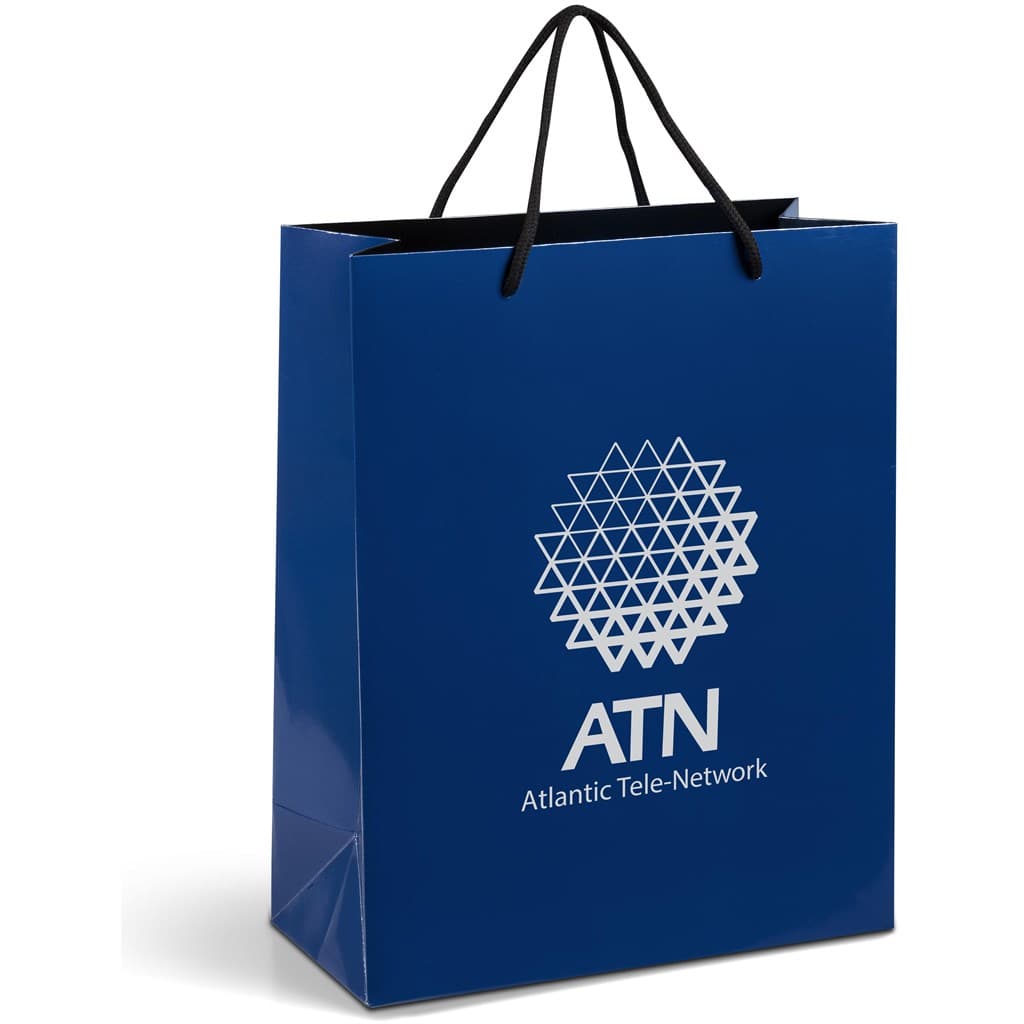Altitude Dazzle Midi Paper Gift Bag 7