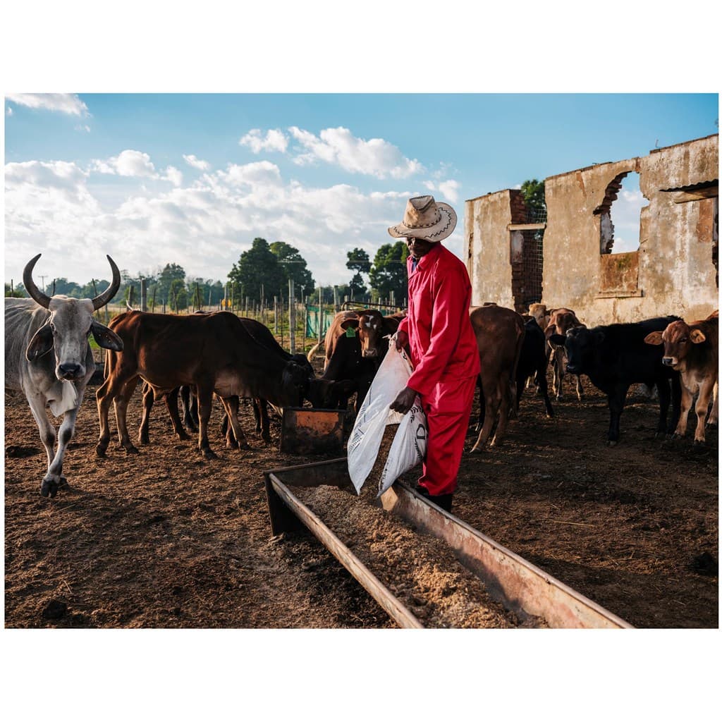 Trade Polycotton Conti Suit 5