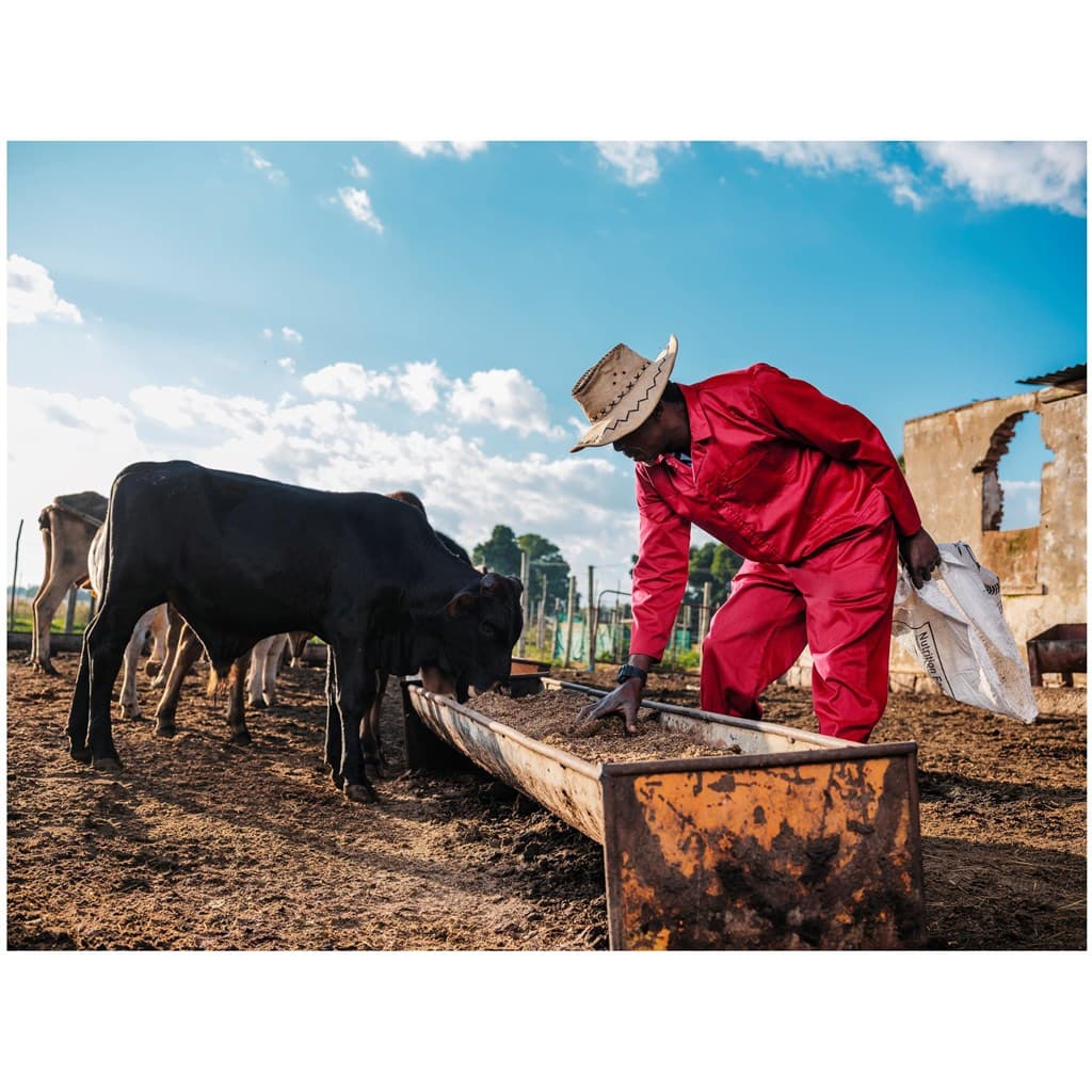 Trade Polycotton Conti Suit 6