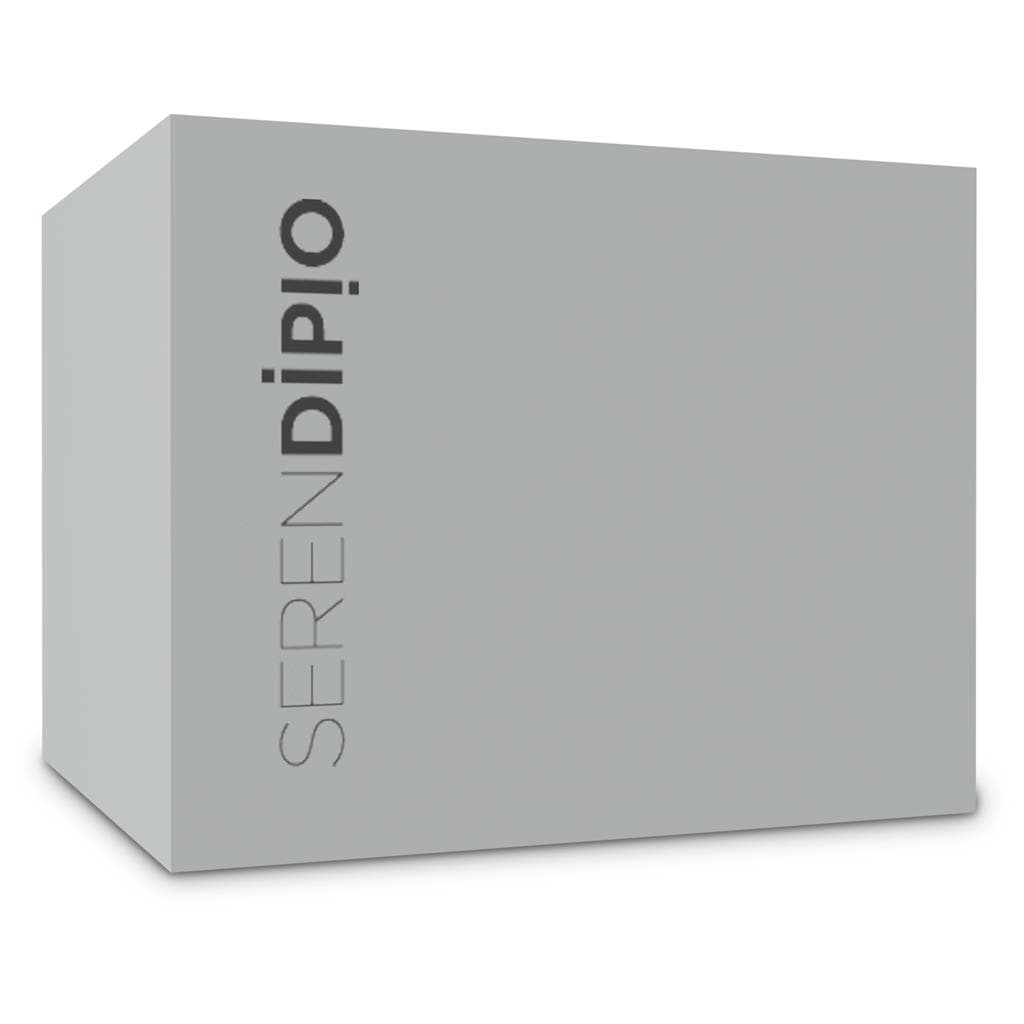 Serendipio Camden Ceramic Coffee Mug - 400ml 3