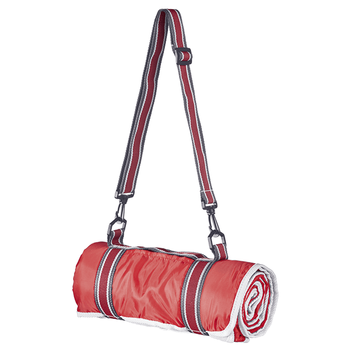 Master Picnic Blanket 2