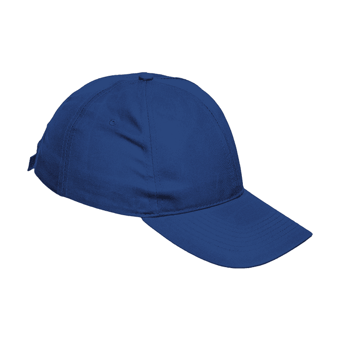6 Panel Boost Cap 2