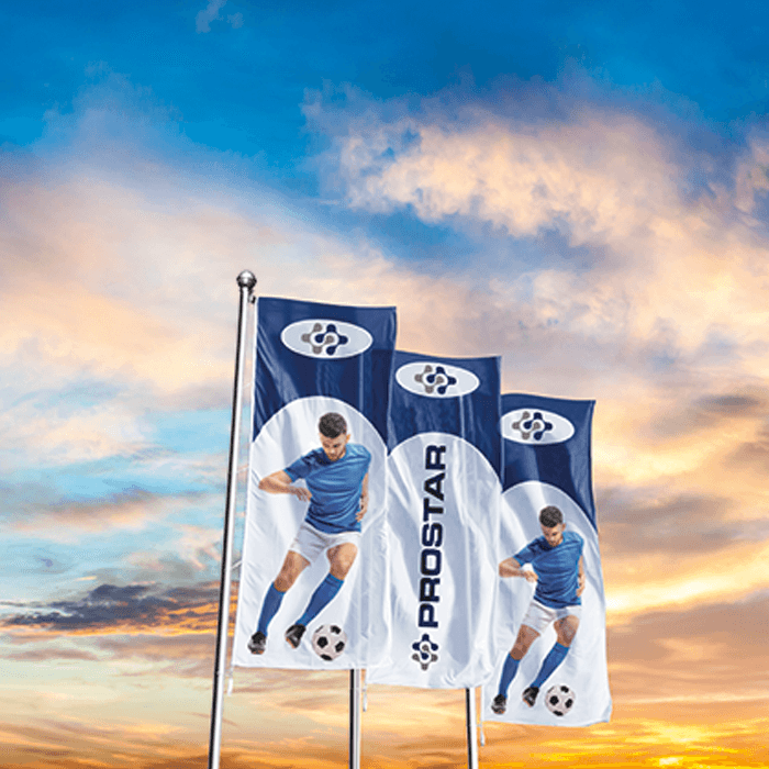 Corporate Flag Double Sided Digital