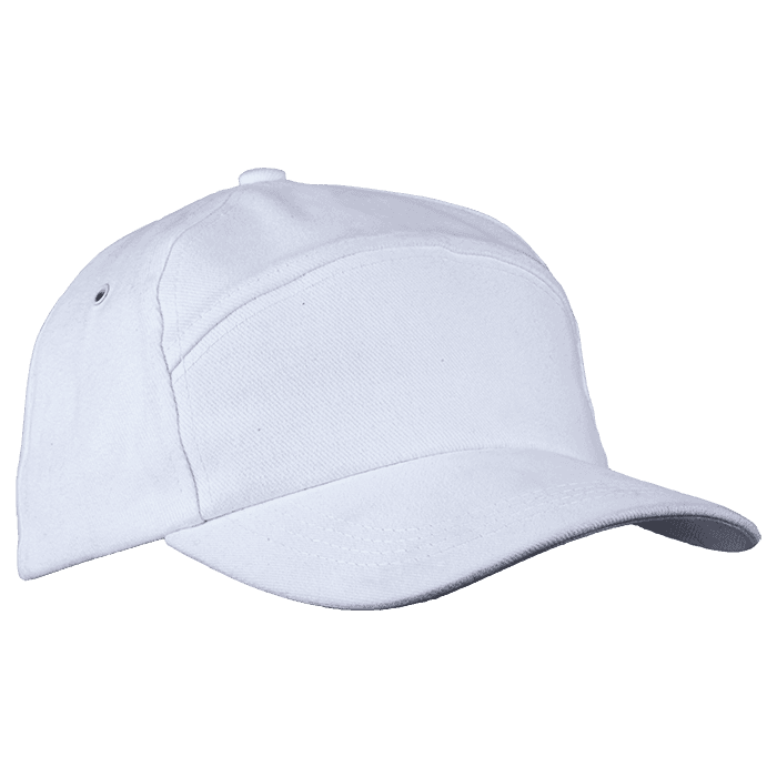 6 Panel Carbon Cap 1