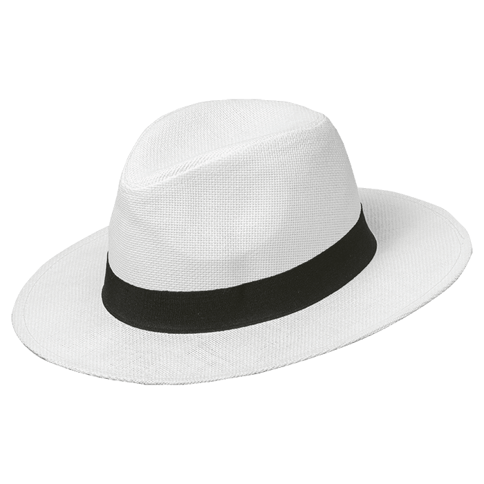 Havana Hat 1