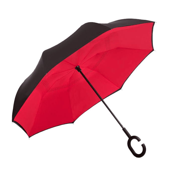 Reversible Umbrella 2