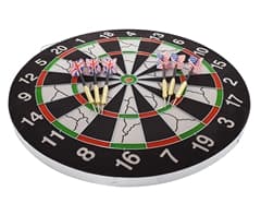 Flocked Pro Dart Board 4