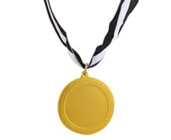 Gold Medal & Ribbon 2