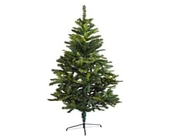 Tall Evergreen Christmas Tree 1