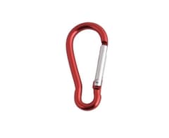 Mini Carabiner 11