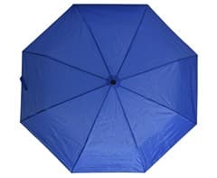 3-Fold Umbrella 1