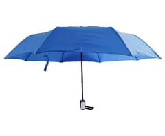 Auto 3-Fold Umbrella 10