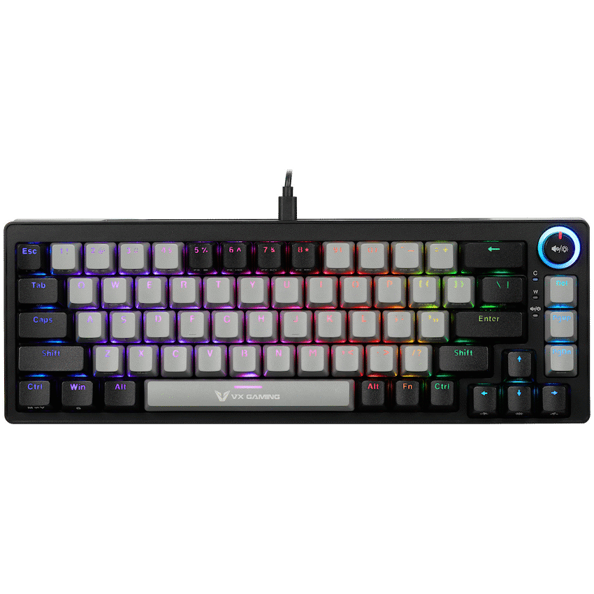VX Gaming Sun-Wukong RGB Hot Swappable Mechanical Keyboard 9