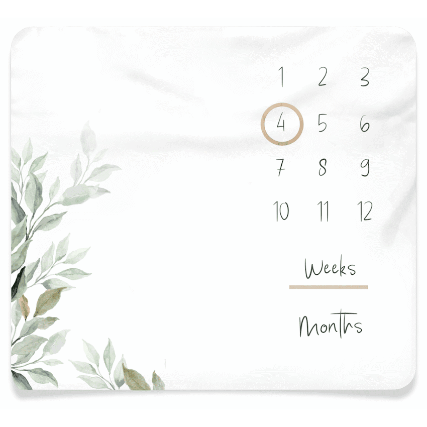 Baby Milestone Blanket 2