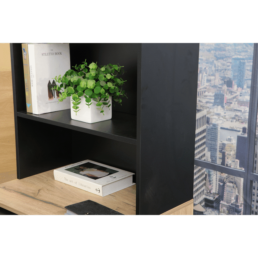 Adaptive Desk, With  Bookshelf 6