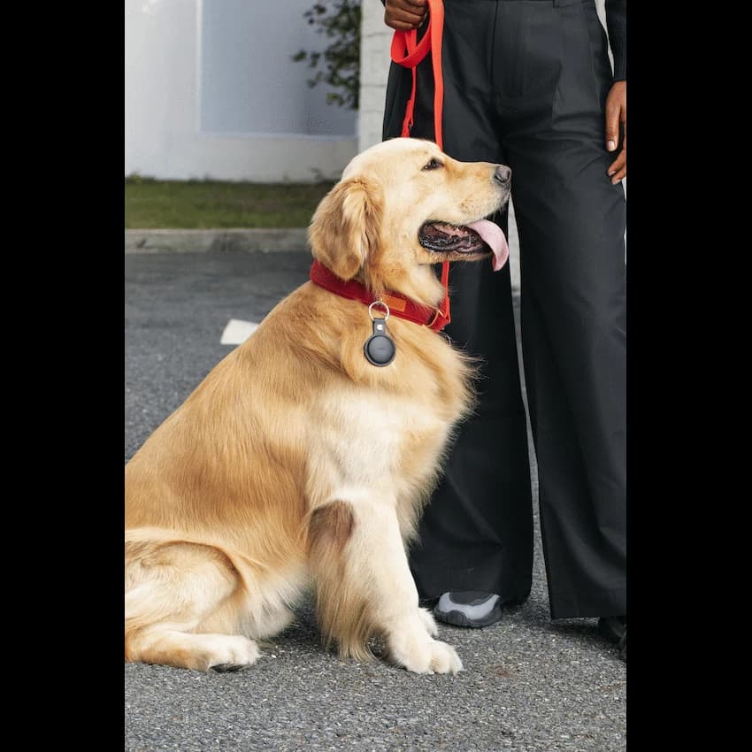 MiTag Android Tag with Keyring - 1 Pack 4