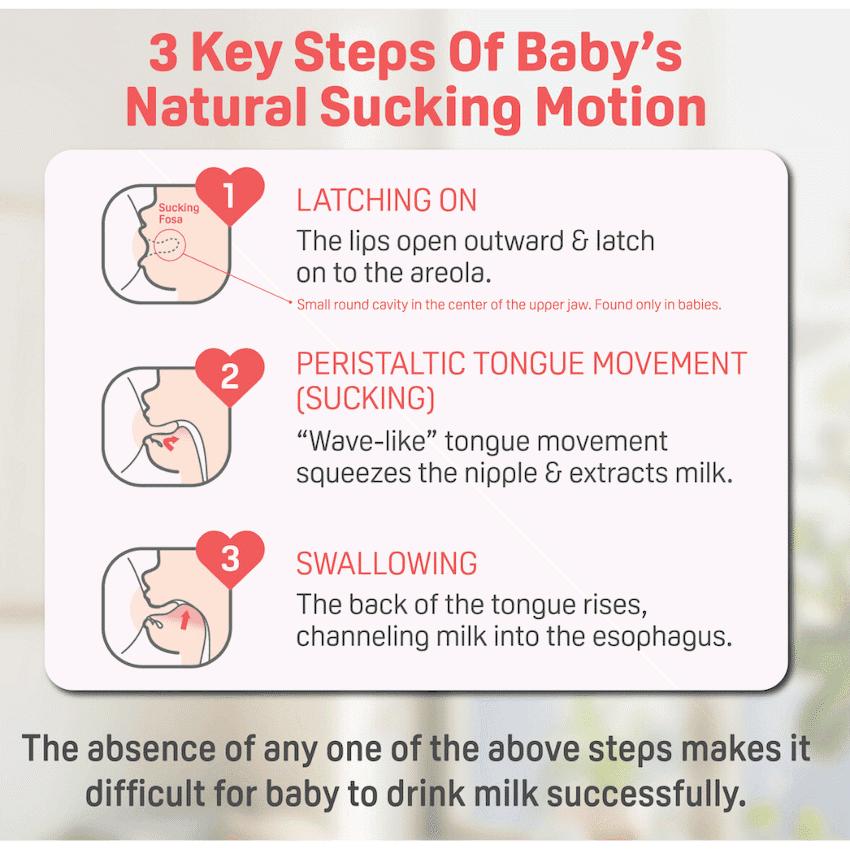 PIGEON SOFTOUCH NURSING BOTTLE 160ML - TWIN PACK 3