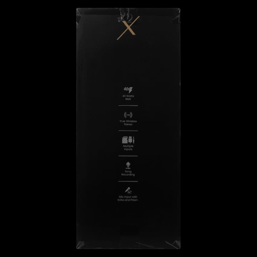 VolkanoX VXP200 Dual 6.5" Party Speaker  - Black 11