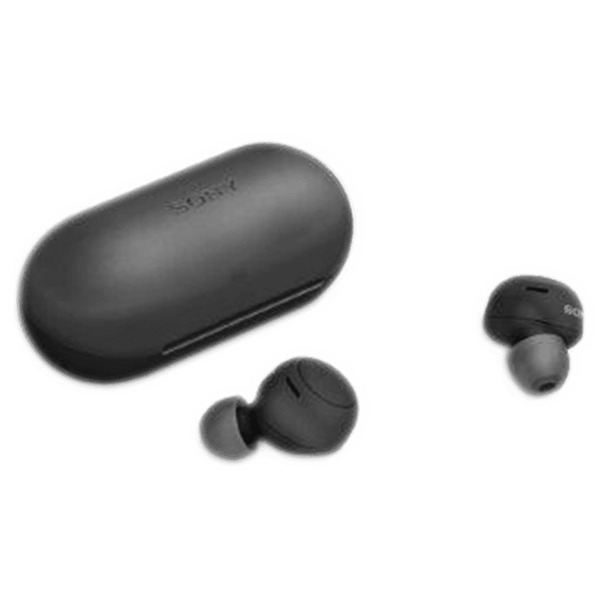Sony WF-C500 (Black) True Wireless Earbuds 5