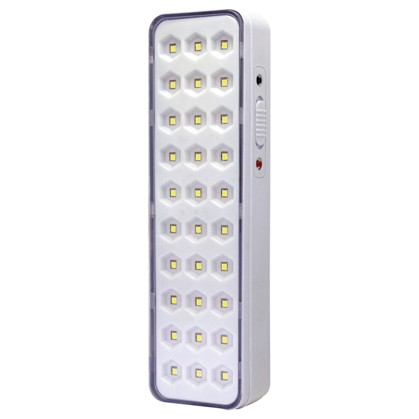 Switched 30 LED Emergency Light AC 150 Lumen 1