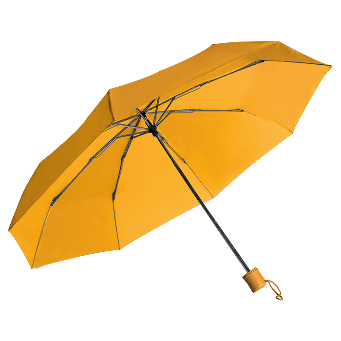 Mini 3-Fold Umbrella 2