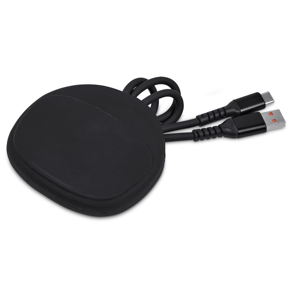 Altitude Stodle Fast Charge A2C Cable in Pouch 3