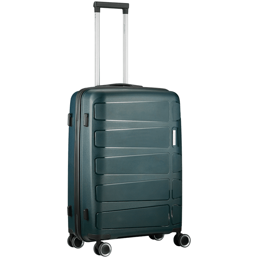 Travelwize Tourer PP 65cm 4-wheel Spinner Luggage Petrol 2