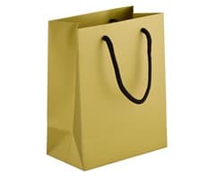 230gsm Matte Gift Bag - 33cm 4