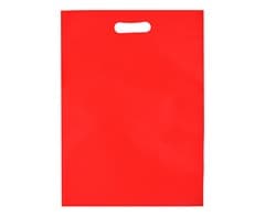 Budget Shopper Bag 5