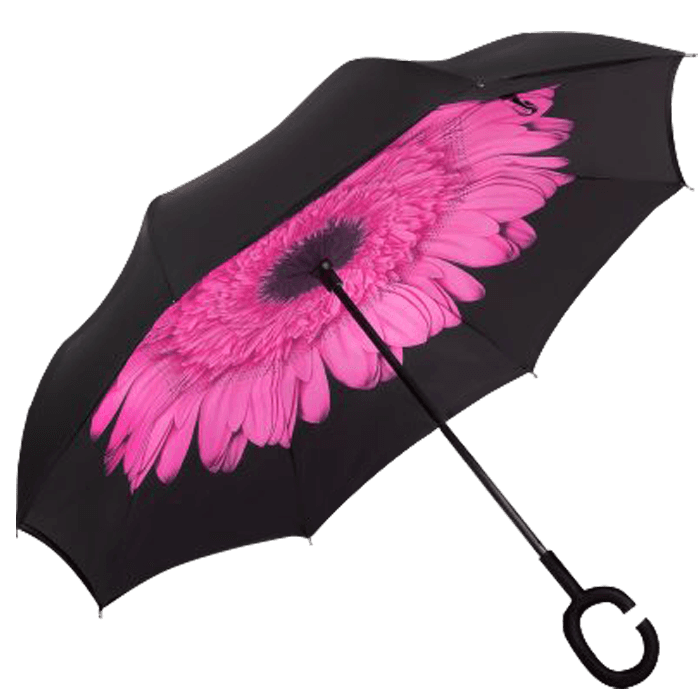 Printed Reversible Umbrella 3
