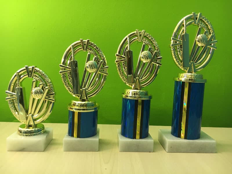 Cricket Theme 02 16cm 2