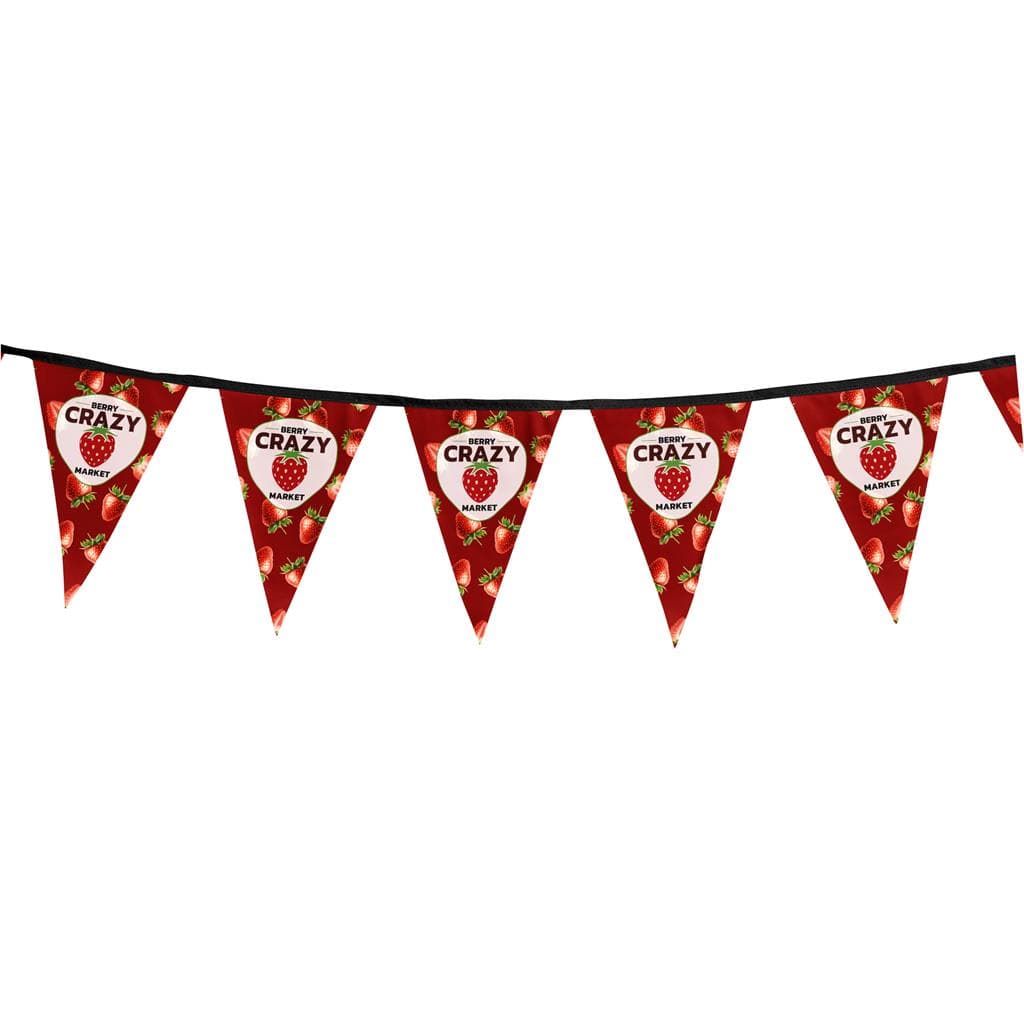 Sublimated Single-Sided Polyester Triangle Bunting 10m 1