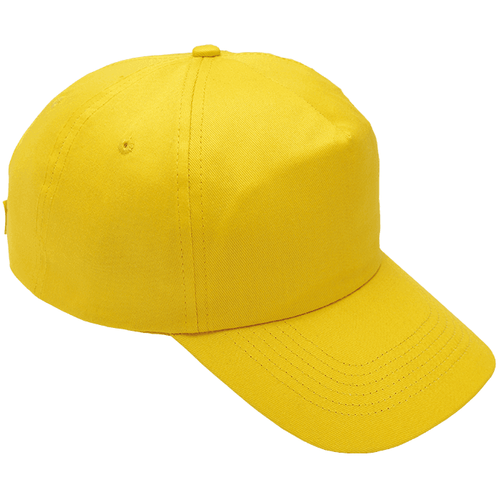 5 Panel Cotton with Hard Front Cap 2