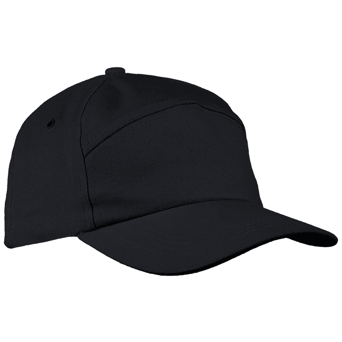 6 Panel Carbon Cap 2