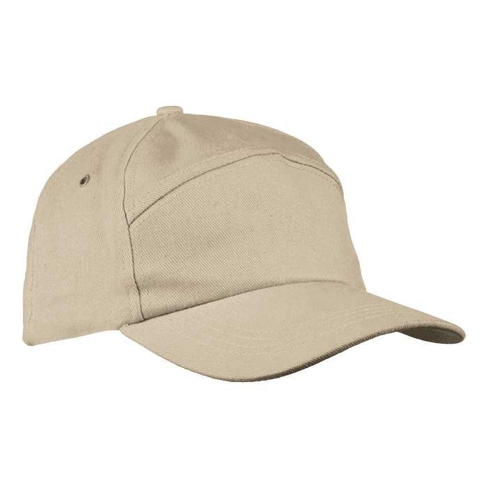 6 Panel Carbon Cap 4