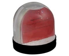 Picture Snow Globe 2