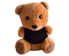 Teddy Plush Toy 2