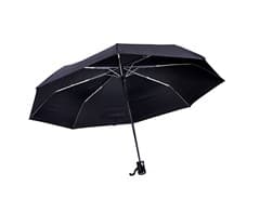 Auto 3-Fold Umbrella 2