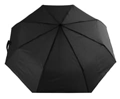 Auto 3-Fold Umbrella 4
