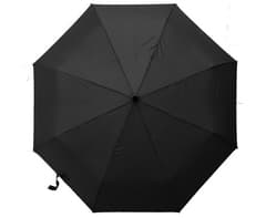Auto 3-Fold Umbrella 5