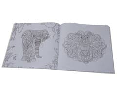 Adult Colouring Book 2