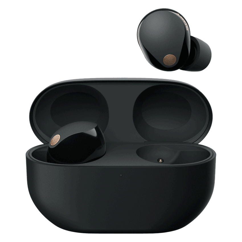 Sony WF-1000XM5 (Black) Premium TWS Earphones 2